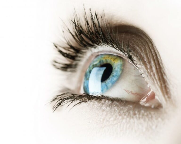 retina-del-ojo