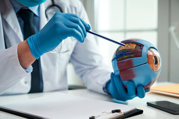 Doctor mostrando la maqueta de un globo ocular