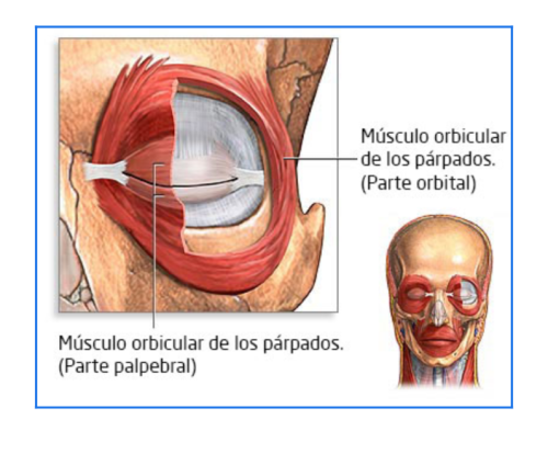 tic ojo